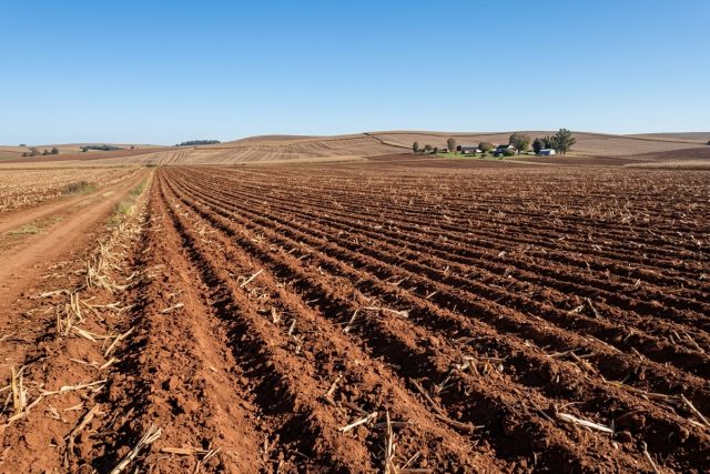 Alfenas leva preparo de solo a produtores e faz manutenção de ponte rural