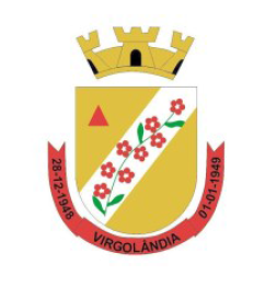 Edital de Virgolândia prevê leilão eletrônico de bens municipais