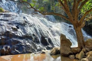 Memória e natureza que encantam
