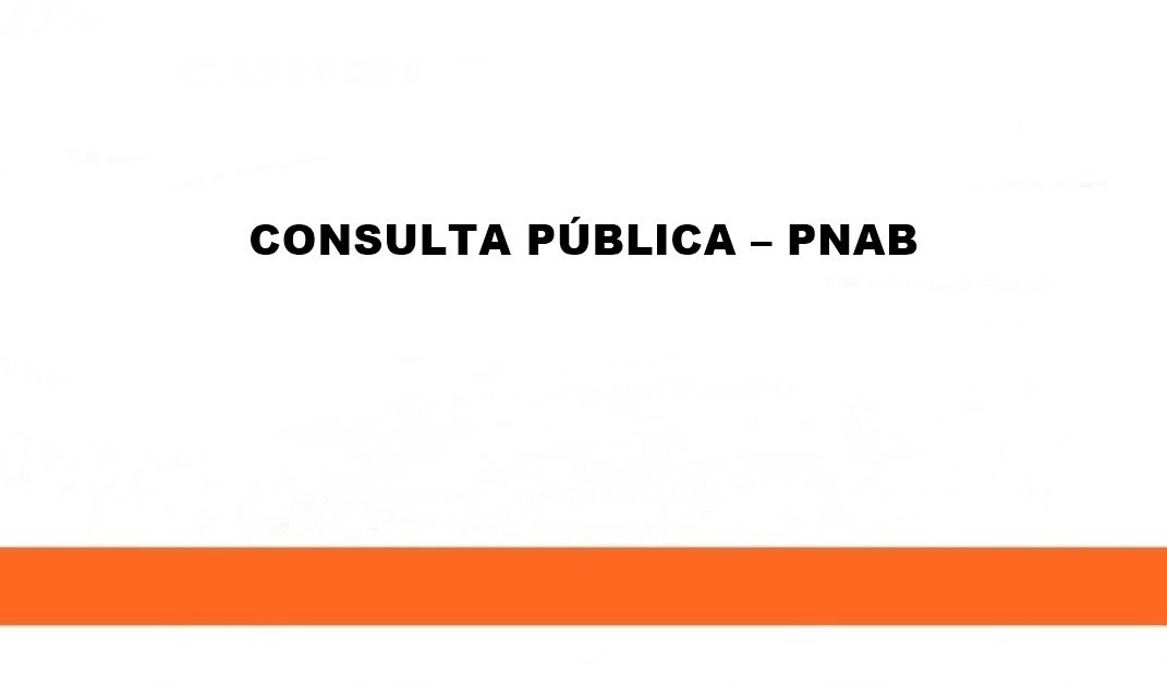 Tumiritinga abre consulta pública sobre aplicação de recursos da PNAB